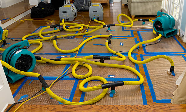 Professional Storm Water Damage Restoration technician working in Colfax, LA